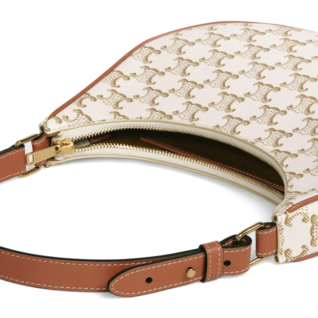 Сумка Celine Ava Bag In Triomphe Canvas And Calfskin 193952BZJ.01BC