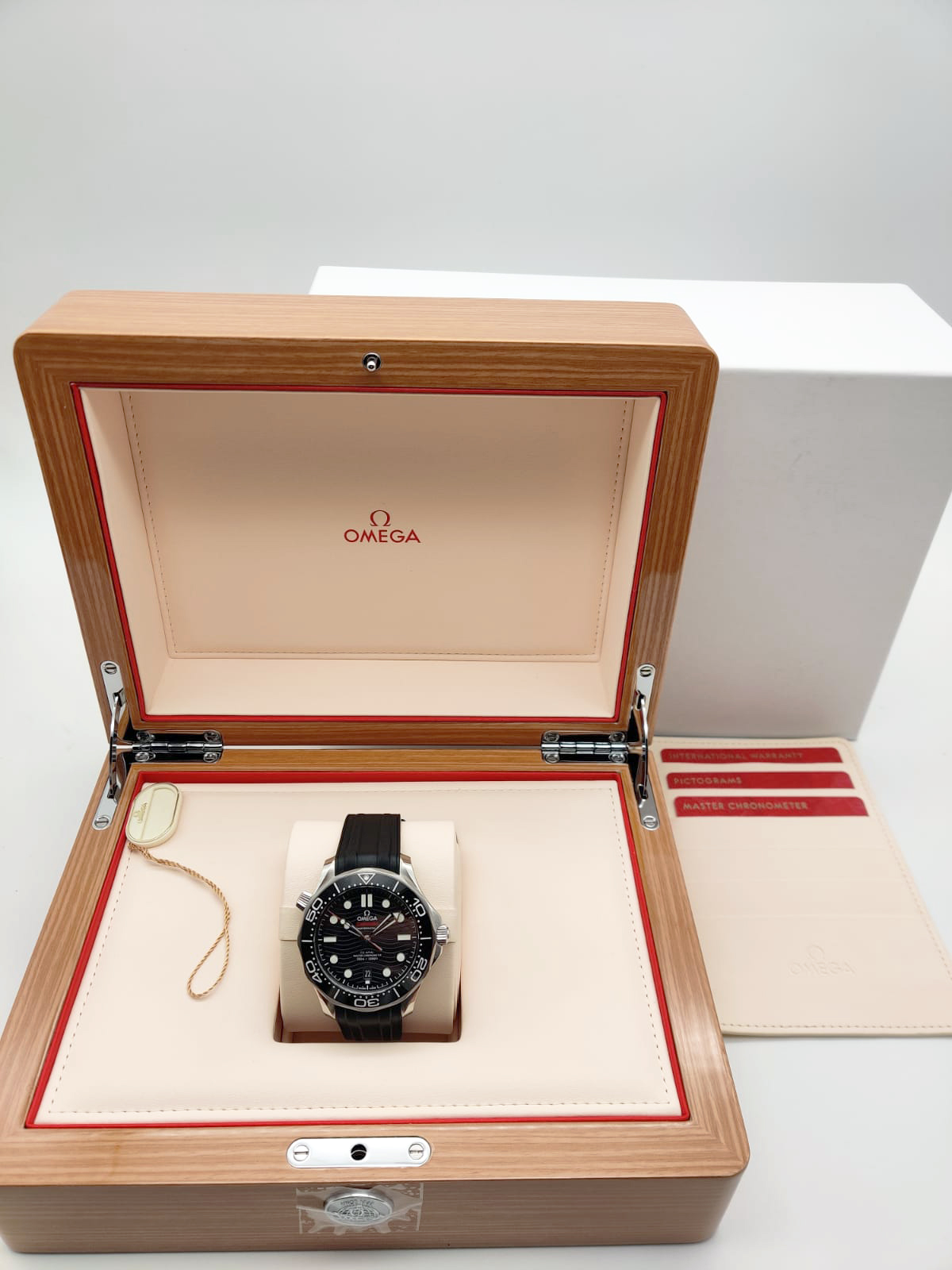 Omega Seamaster Diver 300M Co-Axial Master Chronometer 210.32.42.20.01.001