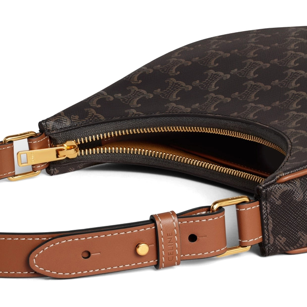 Сумка Celine Ava Bag In Triomphe Canvas And Calfskin 193952BZJ.04LU