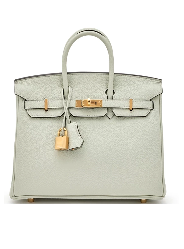 Сумка Hermes Birkin 25 Gris Neve Veau Togo GHW