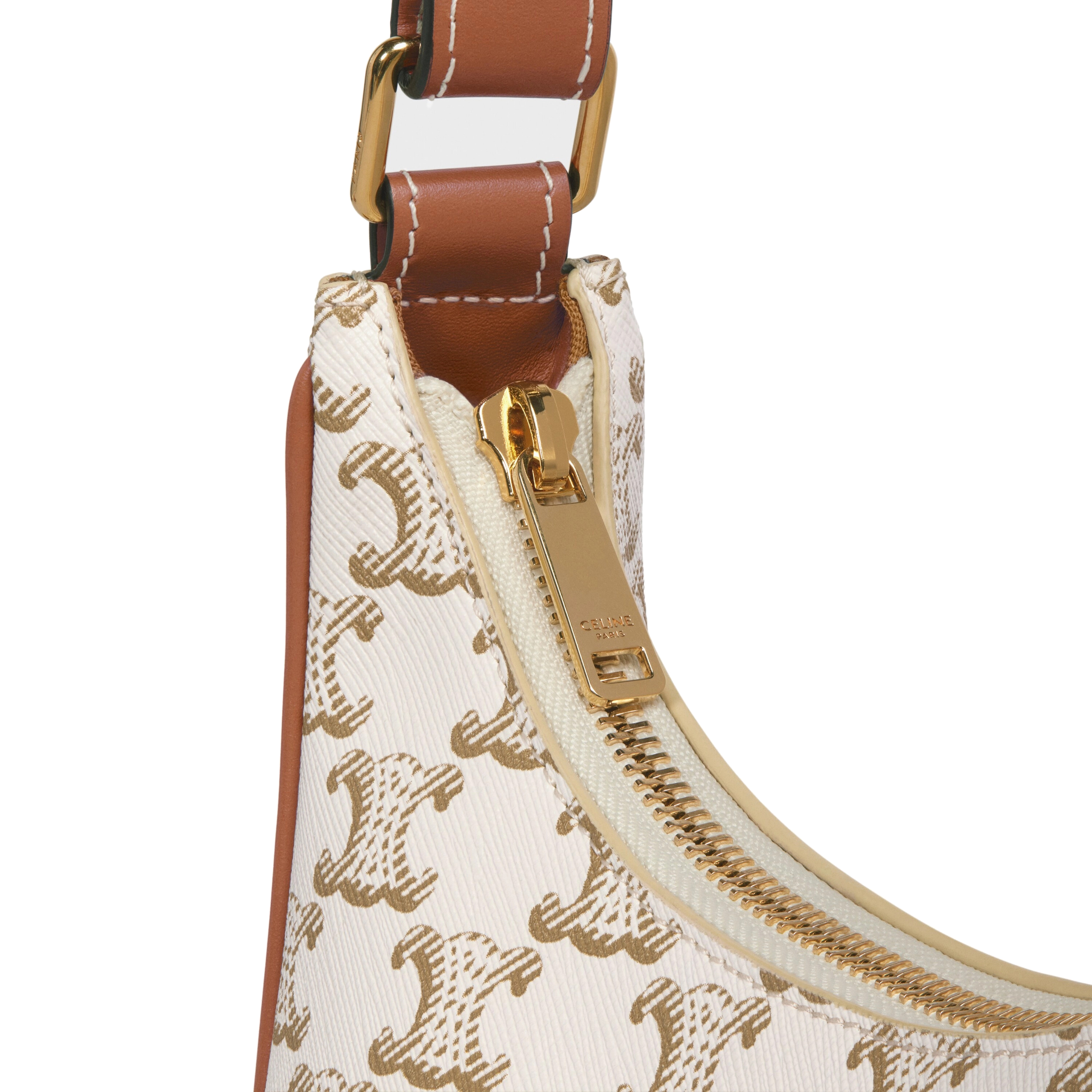 Сумка Celine Ava Bag In Triomphe Canvas And Calfskin 193952BZJ.01BC
