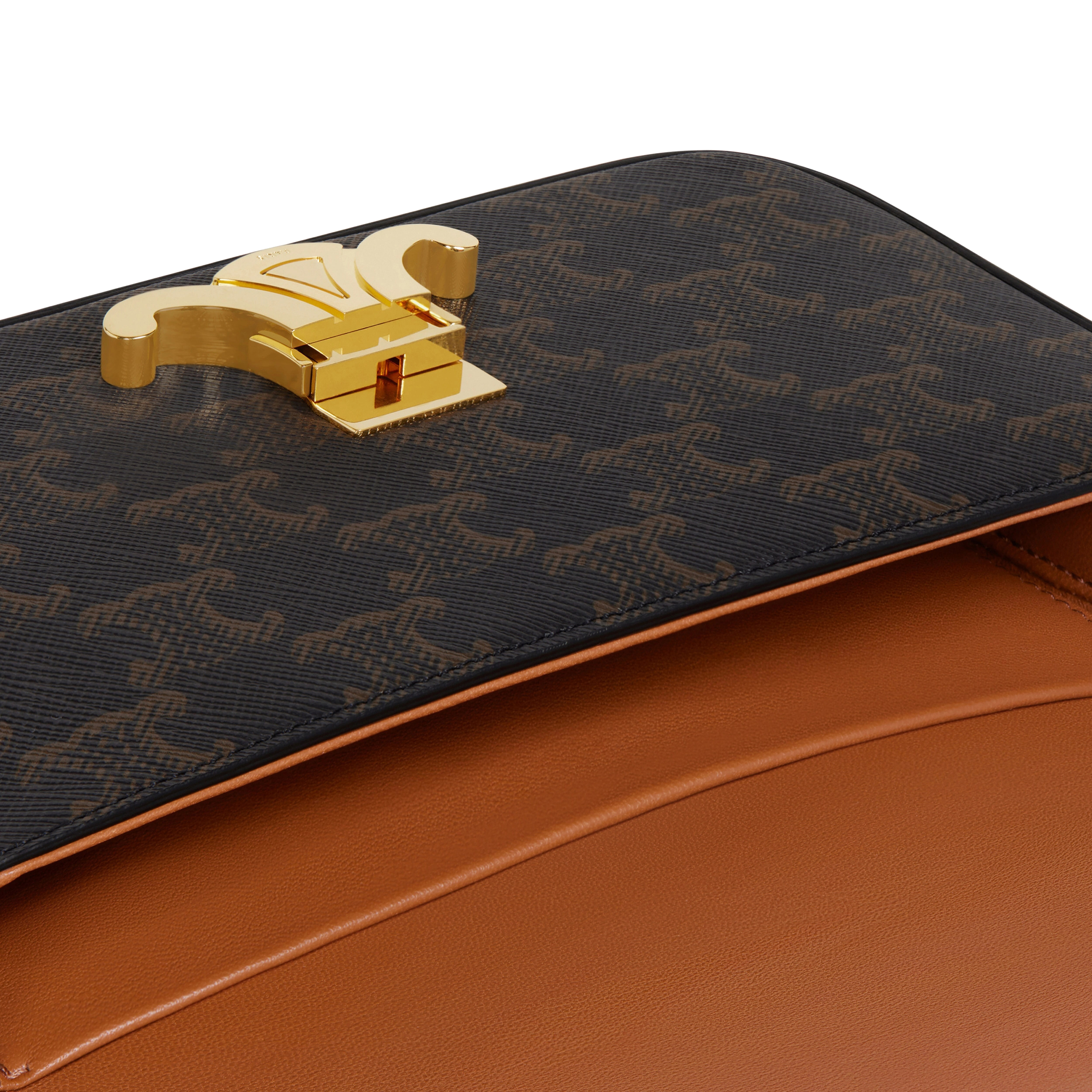 Сумка Celine Shoulder Bag Claude In Triomphe Canvas And Calfskin 194142CUZ.04LU