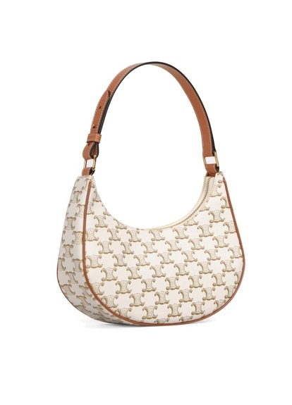 Сумка Celine Ava Bag In Triomphe Canvas And Calfskin 193952BZJ.01BC