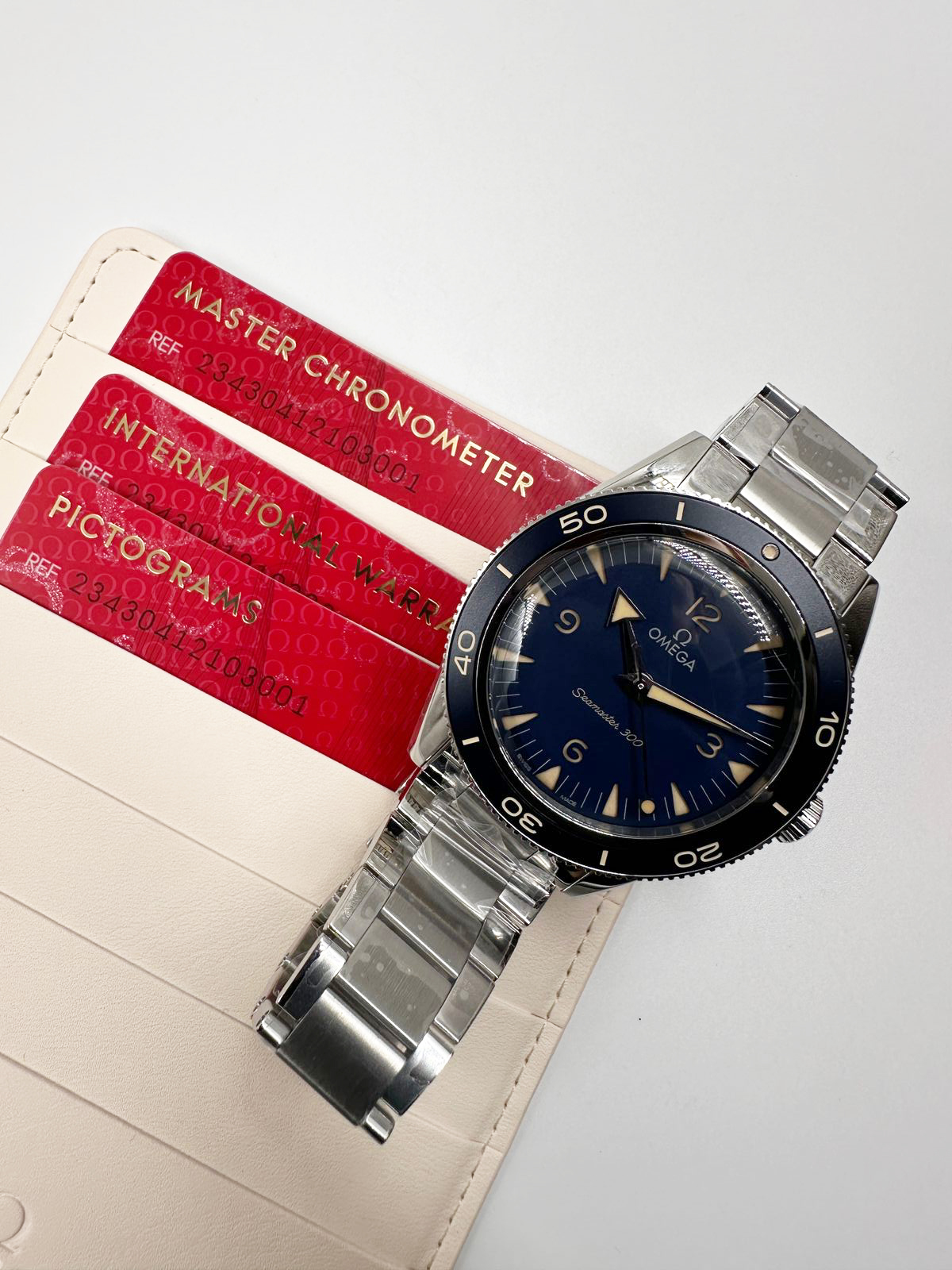Omega Seamaster 300 Co-Axial Master Chronometer 41 mm 234.30.41.21.03.001