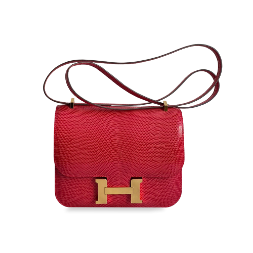 Сумочка Hermes Constance 24 Lezard