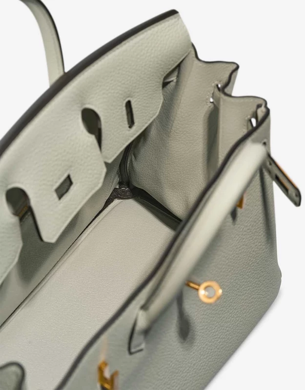 Сумка Hermes Birkin 25 Gris Neve Veau Togo GHW