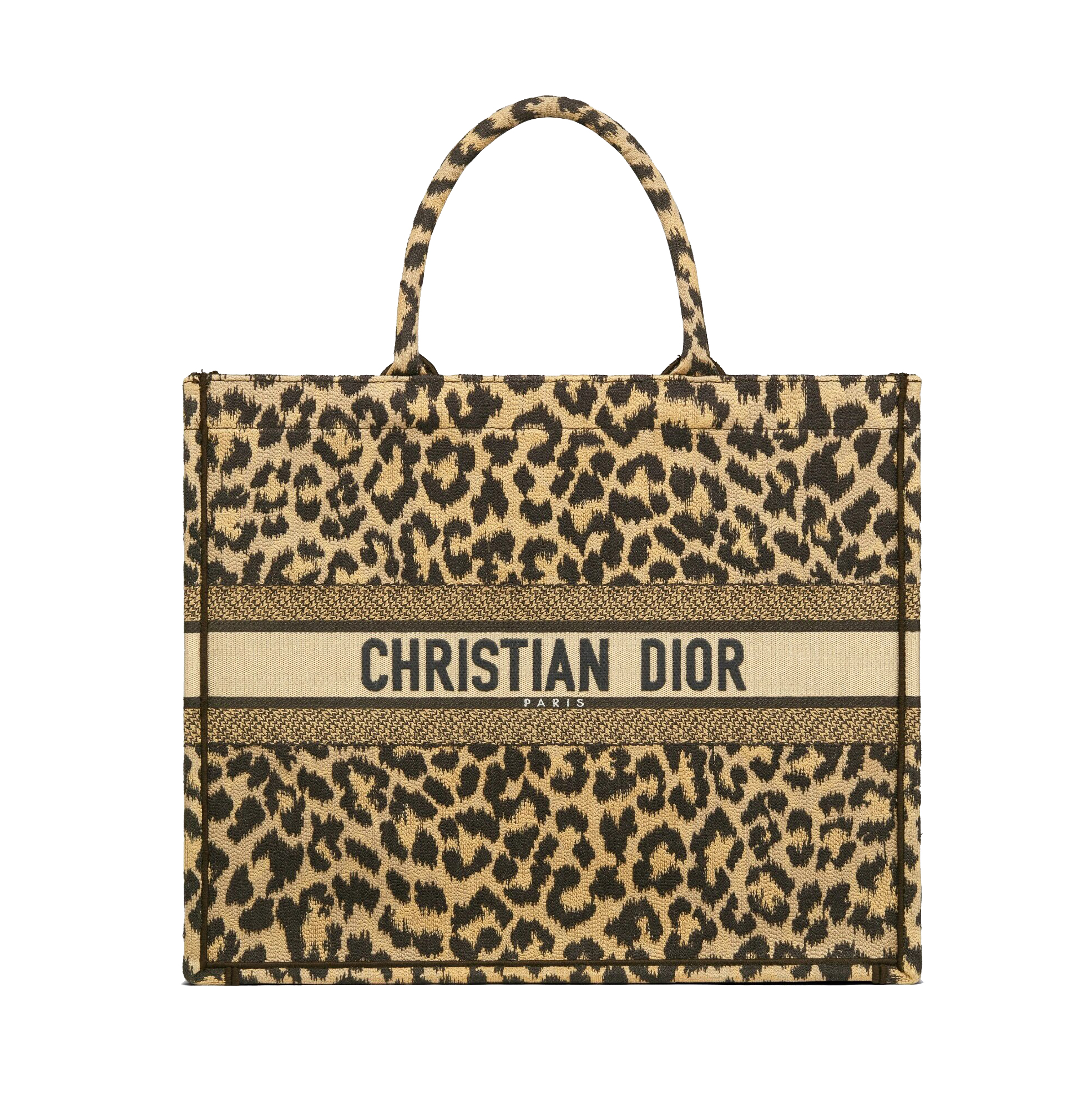 Сумка Dior Book Tote M1286ZRHM_M918